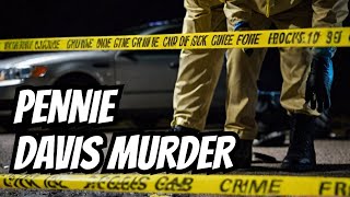 Chilling Details of the Brutal Murder of Pennie Davis  British Crime [upl. by Eniamraj]