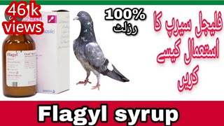 How to use flagyl syrup for pigeonsMajid pigeon care [upl. by Baxter57]