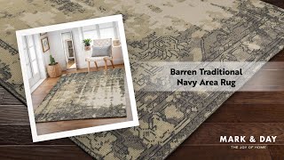 Barren Traditional Navy Area Rug [upl. by Dedra]