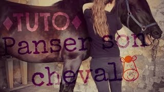 ♦TUTO♦ Pansage complet de son cheval [upl. by Nalliuq]