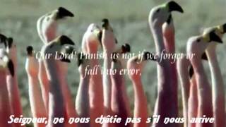 Les bienfaits de la Sourate 2  AlBaqara 284  286 [upl. by Yelroc]