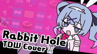 ラビットホール Rabbit Hole Thirty Dollar Website Cover [upl. by Olnek113]