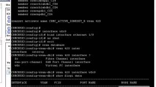 Configuring FCoE on Cisco Nexus 5020 [upl. by Ientruoc]