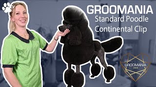 Standard Poodle Continental Clip with Lienke Luthart  Groomania 2020 Grooming Demonstration [upl. by Seek]