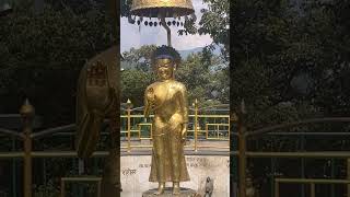 Swayambhunath Temple Kathmandu [upl. by Larimer]