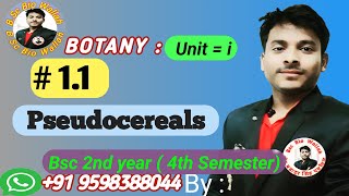 pseudocereals cereal pseudocereals botany video cereals bsc4thsemester impquestion [upl. by Ekihc931]