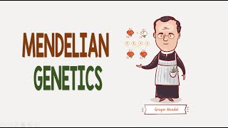 Mendelian Genetics  Biology Animation [upl. by Annaya]