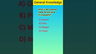 General Knowledge Quiz in English mcqgk gk generalknowledgequiz [upl. by Yde]