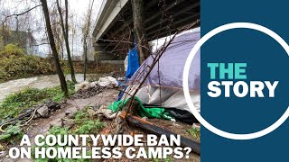 Multnomah County commissioner floats new countywide homeless camping ban [upl. by Bois690]