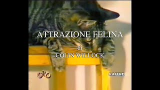 Attrazione felina quotailurofiliaquot [upl. by Ahsykal]