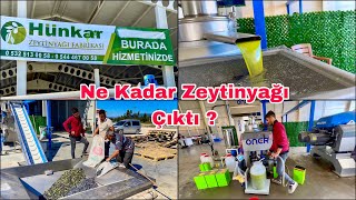 243 Kilo Zeytinden Bakın Kaç Kilo Zeytinyağı Çıktı  Osmaniye Sumbas [upl. by Ataynek]