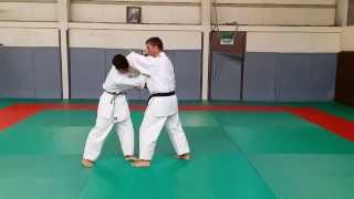 Bunkai dHeian Shodan  Se défendre avec un kata de base  Part 1 [upl. by Lydie]