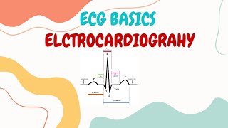 Electrocardiography  ECG  ECG Interpretation made Easy  ECG Leads Placement  ECG Procedure [upl. by Ailerua]