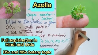 AzollaPteropsidaPteridophytesBsc and MSc botany topic [upl. by Dudley]