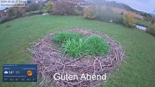 2024 10 21 Storchennest Alfeld es grünt so schön und rundum wird es herbstlich bunt 🤣🤣🤣🍂🍁 [upl. by Nylyram105]