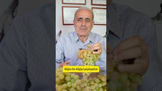 Üzüm Aldığınızda Mutlaka Deneyin  Üzüm Saklamanın Püf Noktası üzüm grape drhüseyintapik [upl. by Gentilis896]