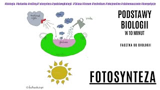 Fotosynteza  Odżywianie się roślin  Botanika  Darmowe korepetycje z biologii  Podstawy biologii [upl. by Yeldud545]