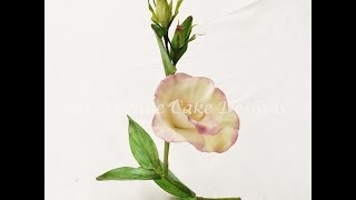 Flower Paste Lisianthus Spray [upl. by Ansev]