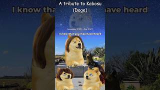 A tribute to Kabosu Doge [upl. by Bone34]