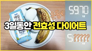 DIET VLOG 보통체중 운동없이 3일동안 전효성 다이어트 🍌🥚🥛  급찐급빠 🔥 [upl. by Gardell]