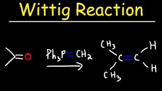 Wittig Reaction Mechanism [upl. by Atsok]