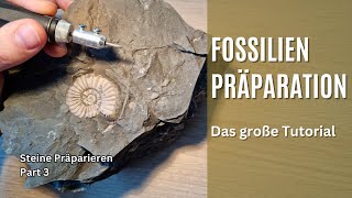 Das große Einsteigertutorial  FossilienPräparation [upl. by Atteloc]