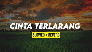 CINTA TERLARANG slowedreverb [upl. by Kellda]