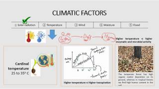 6 RPSCACF 2020  Silviculture  Temperature Wind Moisture Flood and Instruments [upl. by Lacie]