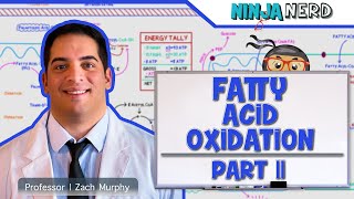 How to calculate the number of ATP molecules produced during beta oxidation Odd chain [upl. by Nihhi]