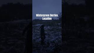 Wintergreen Berries Location arrakisstudio gaming rdr2 xbox [upl. by Amabelle]