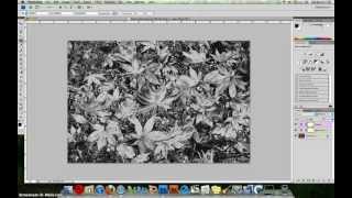 Photoshop tutorial  traditional solarisation technique [upl. by Nednarb]