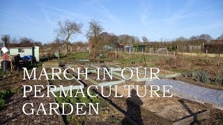 March in our permaculture garden [upl. by Hilel]