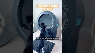 Litter Robot 4 Review after nearly 3 months of use with 2 cats Part1 [upl. by Laszlo]