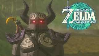 Phantom Rüstung  The Legend of Zelda Tears of the Kingdom Lets Play DEGER 28 [upl. by Heron]