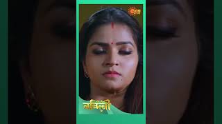 Nandini shorts ytshorts SunbanglaSerial trending [upl. by Turley104]