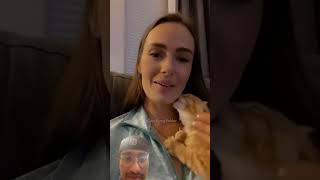 Cat reaction funny cat funnycats ytshorts yt trending animals [upl. by Enitsenrae]