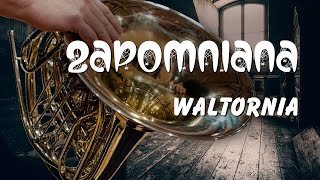 Zapomniana waltornia Czyli subiektywnie o tym czemu waltornia to nietypowy instrument [upl. by Yesima]