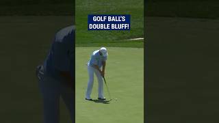 Golfer gets TRICKED by own golf ball 😱 [upl. by Eiramlatsyrc282]