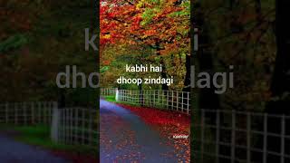 Kal ho na ho song song musicsongstatus kalhonahostatus [upl. by Heidie]