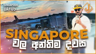 Vlog 5 Singapore වල අන්තිම දවස  Last Day at Singapore  Singapore Tour Day 05  Jonty Diaries [upl. by Eydie933]