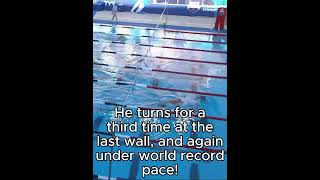 Michael Phelps Takes a Run at the World Record in the 200 IM at the 2015 Philips 66 Nationals [upl. by Raye]