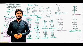 L03Monosaccharides Fischer projection part2 Biomolecules [upl. by Costanzia]