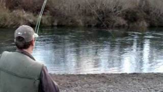 Flyfishing the lower Tongariro River New Zealand [upl. by Irot]