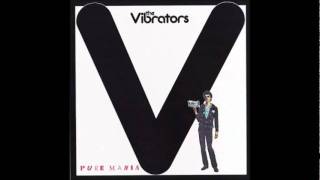 The Vibrators  London Girls wlyrics [upl. by Edals]