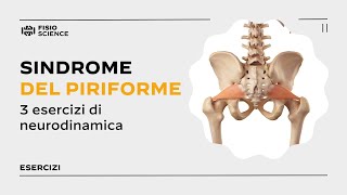 3 esercizi per la Sindrome del Piriforme  Deep Gluteal Syndrome [upl. by Ynitsed]