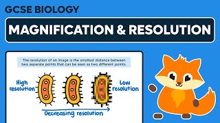 Magnification amp Resolution  GCSE Biology [upl. by Merl]