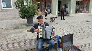 A street accordion player in a small town in Bavaria Mindelheim Germany3 [upl. by Itnahs853]