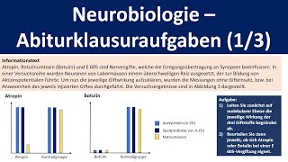 Neurobiologie  Abiturklausuraufgaben Teil 1 Wirkung von Synapsengiften  Biologie Oberstufe [upl. by Iddet]