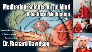 Meditation Science amp The Mind  Pt 1  Dr Richard Davidson  Benefits of Meditation on the Brain [upl. by Savory434]