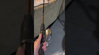 Best rods for certain fish [upl. by Laertnom]